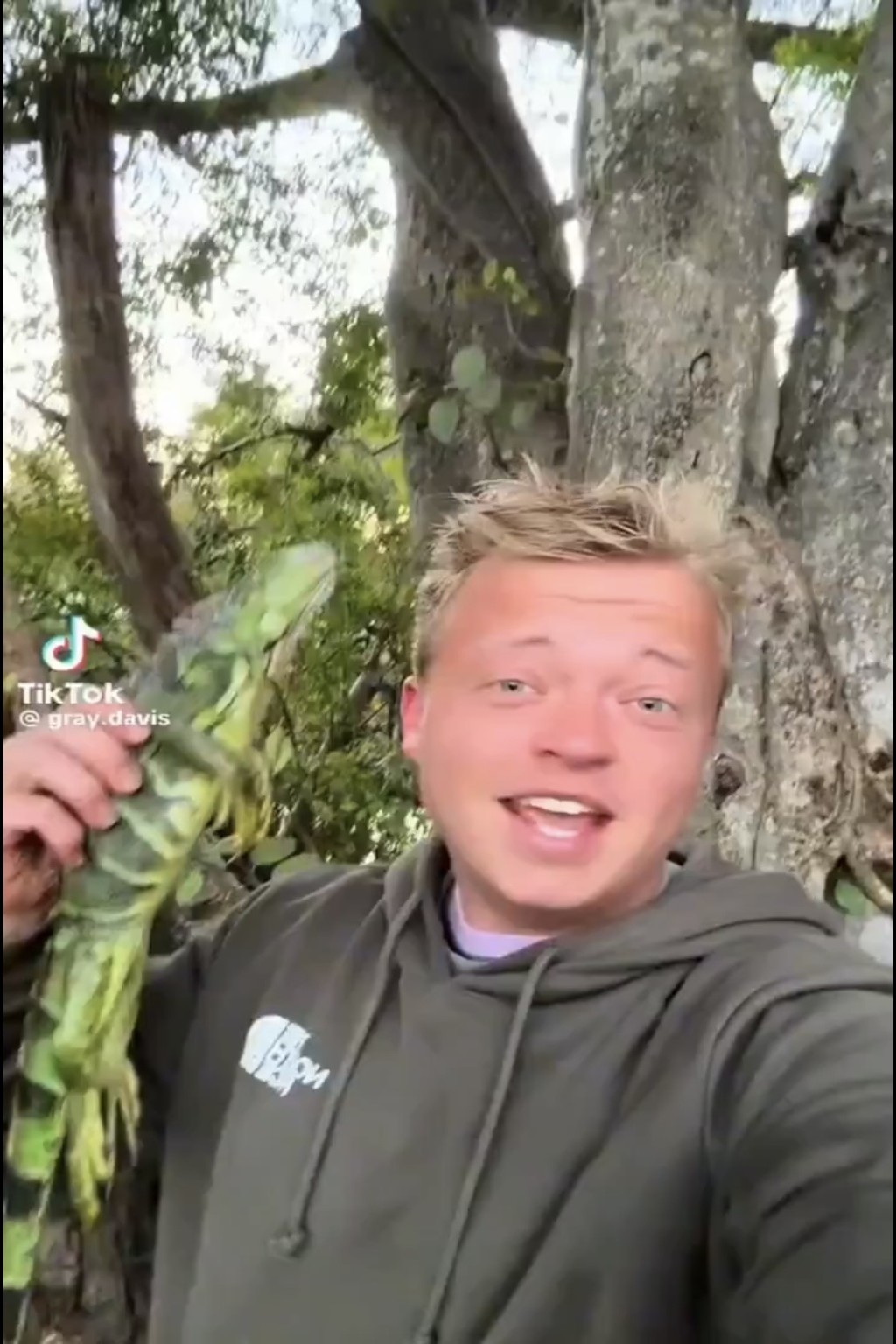 戴维斯拾起冻僵跌绿鬣蜥。  TikTok@gray.davis