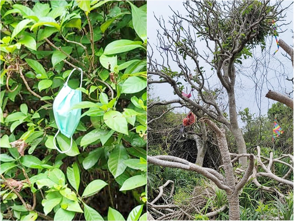 口罩、風箏等垃圾就這樣被掛在樹上。FB專頁「西貢牛」圖片