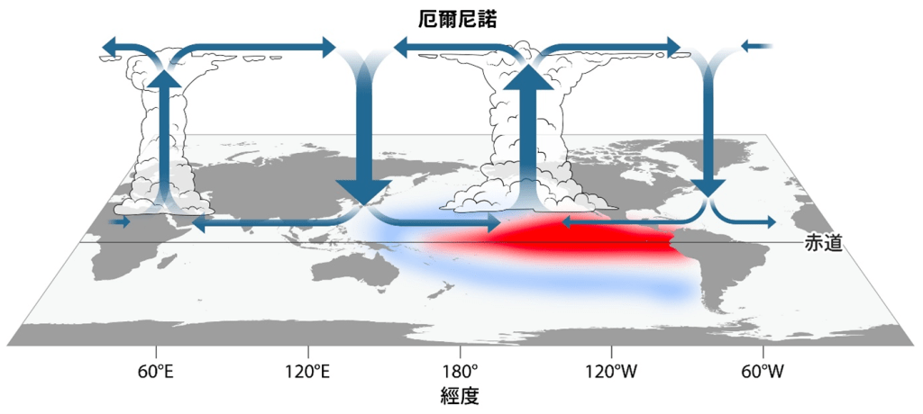 厄爾尼諾的海洋影響大氣環流的示意圖。赤道太平洋中部及東部的海溫較正常高（紅色位置）；而赤道太平洋西部的海溫則相對較低（藍色位置）。