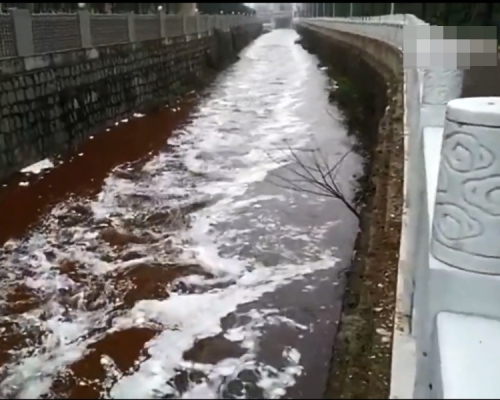 一名司機涉司機違法排放「屠宰廢料」導致河水污染。網圖