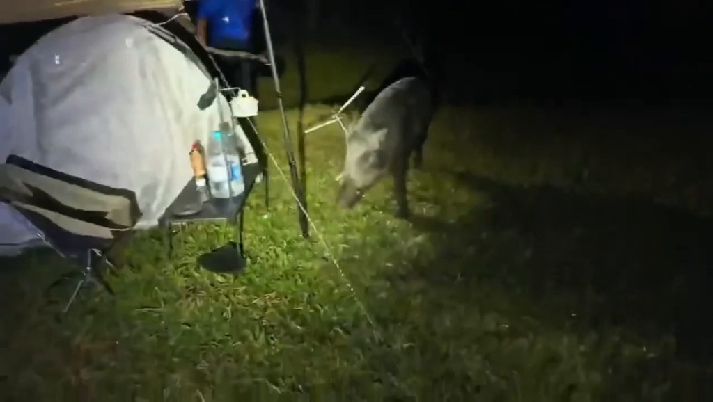 Threads截圖(資料來源:szewai_li@Threads) Threads截圖(資料來源:szewai_li@Threads)