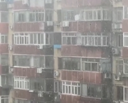 北京市民拍下盛夏「飄雪」現象。(網圖)