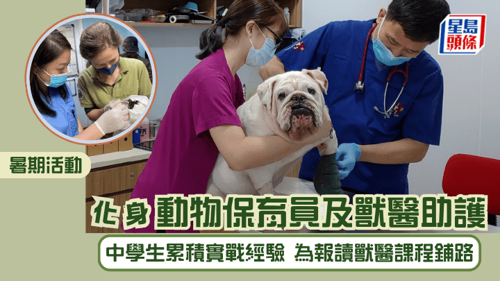 暑期活動︱化身動物保育員及獸醫助護 中學生累積實戰經驗 為報讀獸醫課程鋪路（圖片來自嘉道理農場暨植物園及NPV）