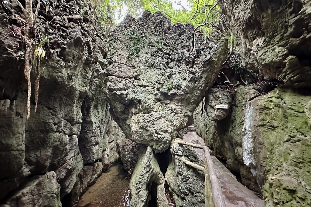 天星桥景区内的奇岩怪树。图片授权David Cheng