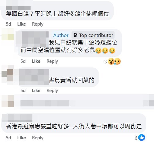 網民指香港鼠患嚴重。fb「將軍澳主場」截圖