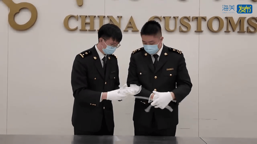 北上女客背包藏47隻活螞蟻，涉外來物種。