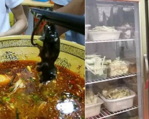 網圖。