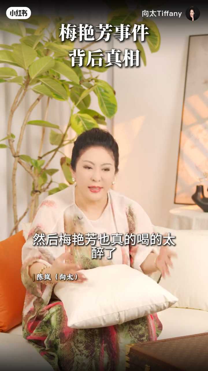 向太指另一次梅艷芳得罪有勢力人士，當時她已喝醉。