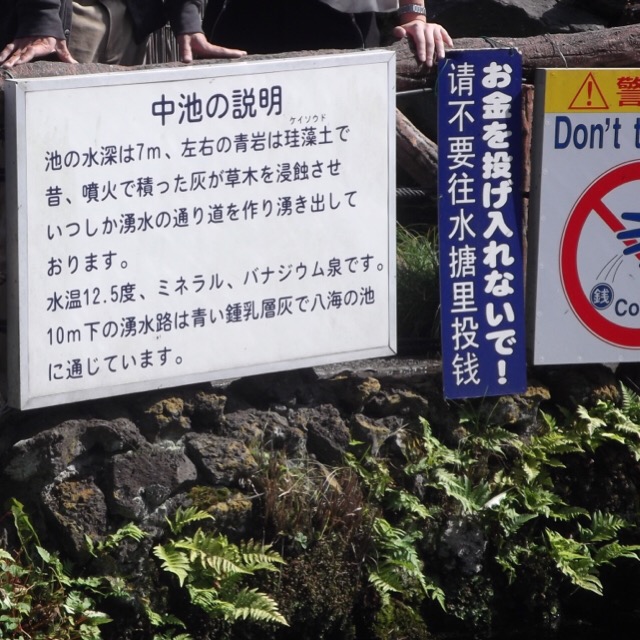 有大量遊客無視池邊警告牌。網上圖片
