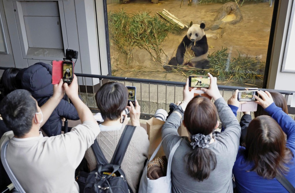 民众纷纷举机拍下最后一次在上野动物园看到香香的样子。 美联社