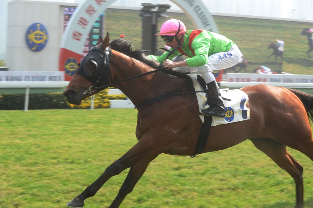 蕭煒忠將物色良駒來港服役。圖為名下退役馬「寶成福星」。