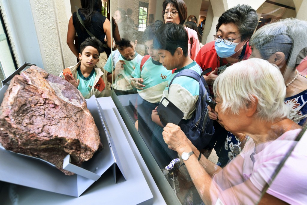 部分恐龍化石已在香港文物探知館展出。