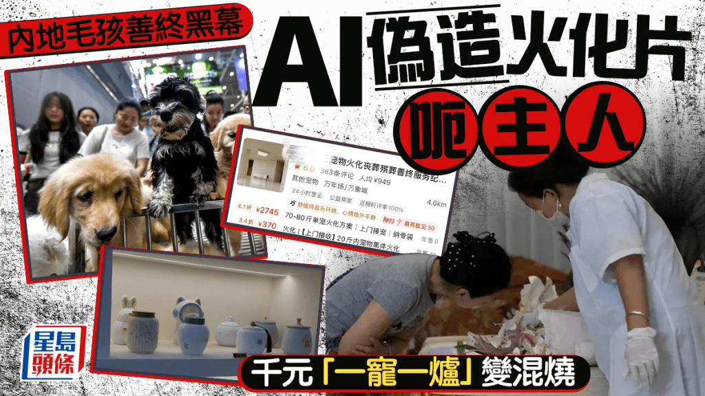毛孩善終騙局｜黑作坊改裝麵包車混燒遺體 AI偽造「一寵一爐」視頻假象