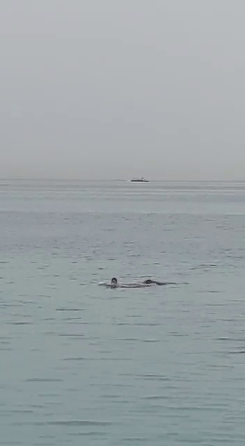 俄罗斯男子在水中，绝望地喊著“爸爸！”。网片截图