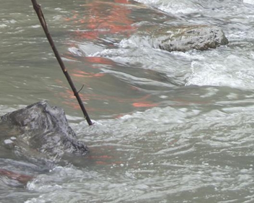 遼寧7名男學生下河游泳，6名溺亡。　網上圖片