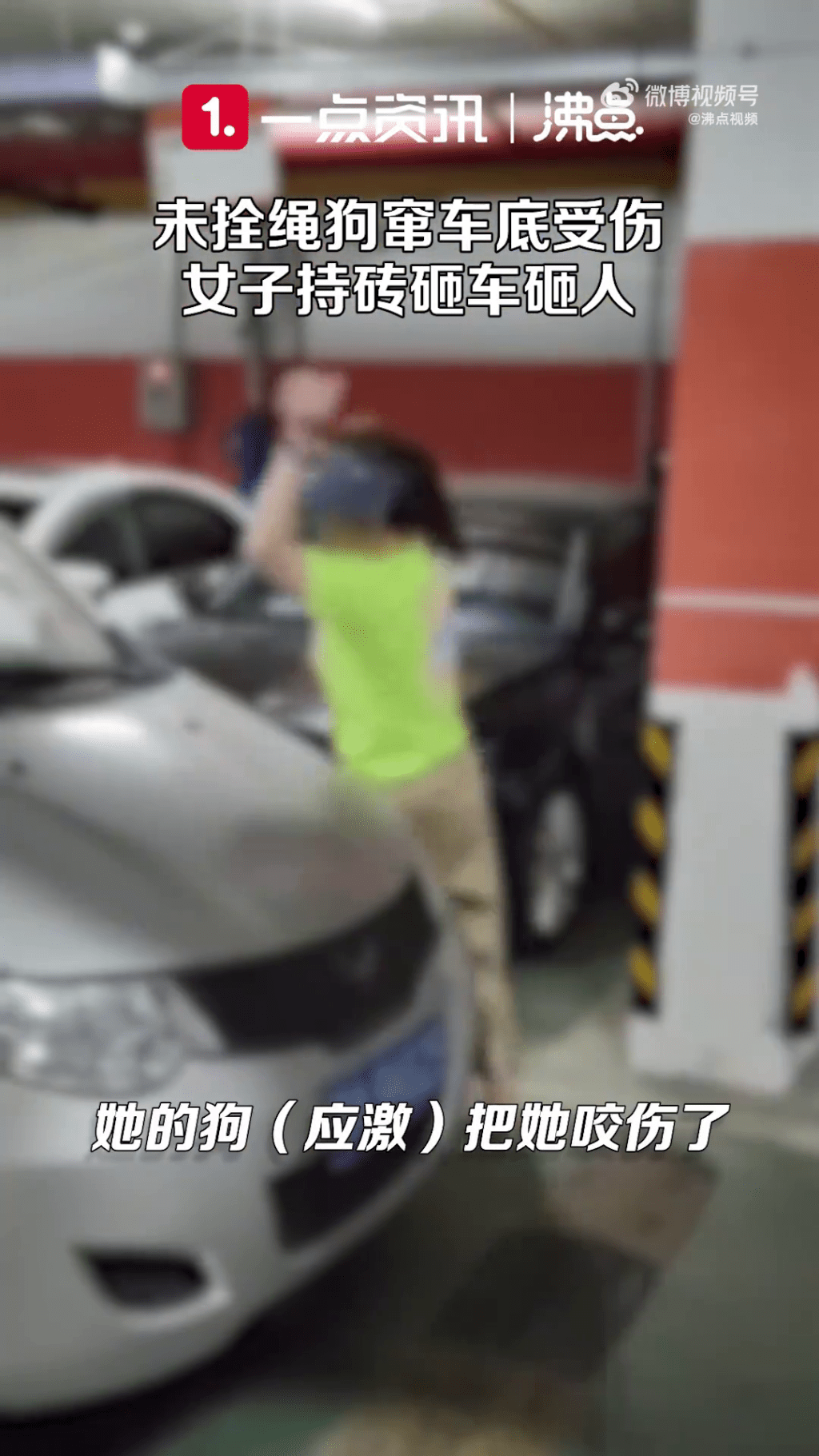 女狗主幾乎將全車的車窗打爛。