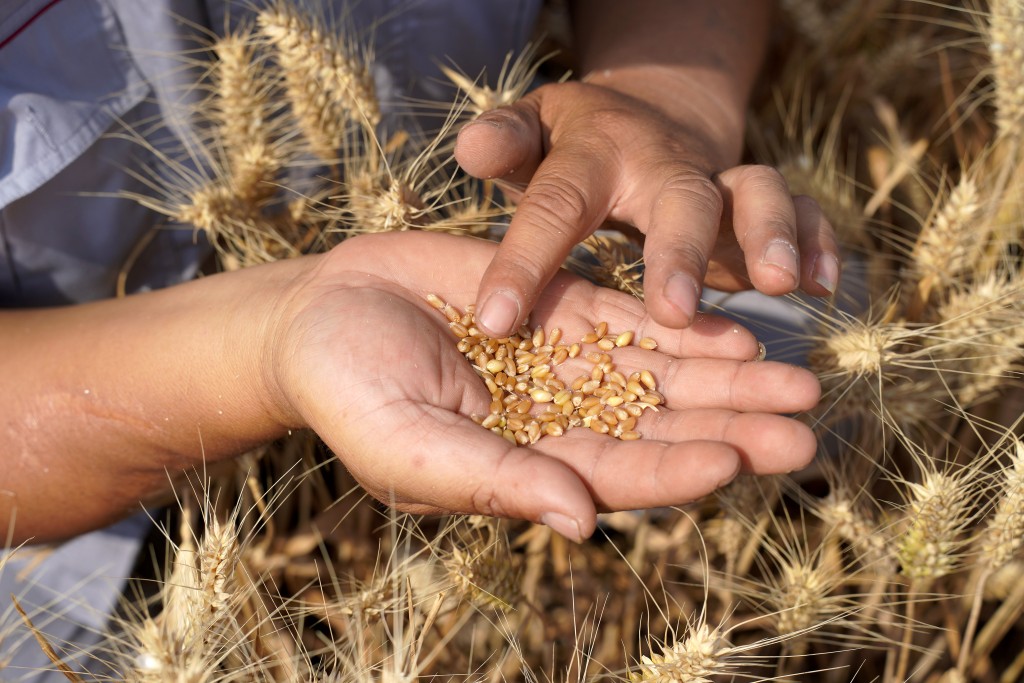 圖片來源：新華社