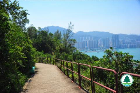 魔鬼山沿途可以觀賞鯉魚門、油塘及遠眺香港島東面一帶景色。（圖片來源：漁農自然護理署）