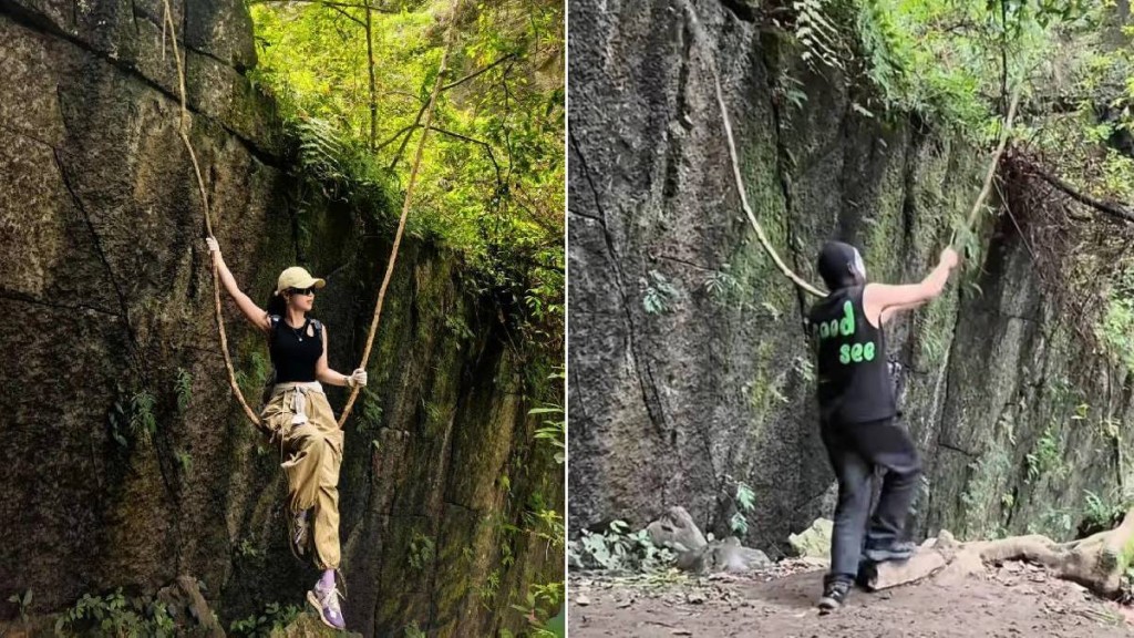湖北網紅樹藤遭「正義」蒙面人，以安全為由擅自斬斷。