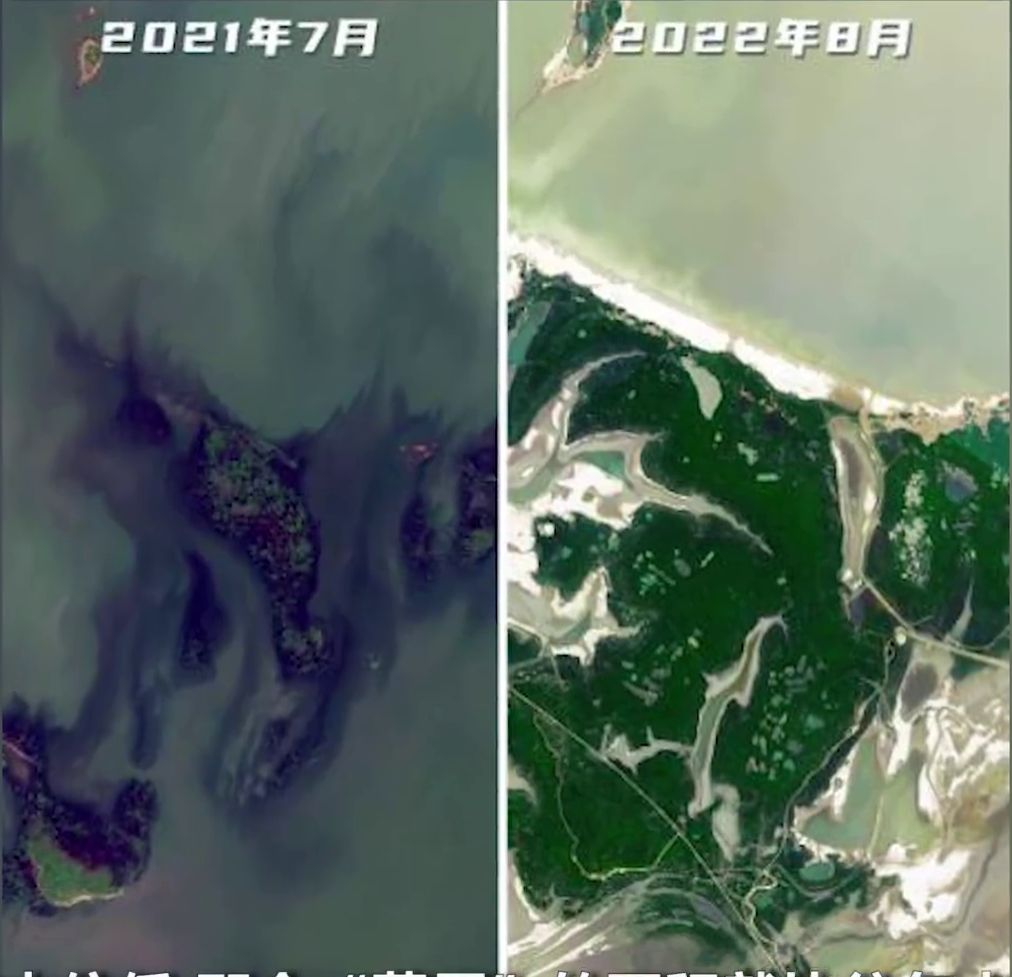 今年鄱阳湖水体面积呈显著减少趋势。