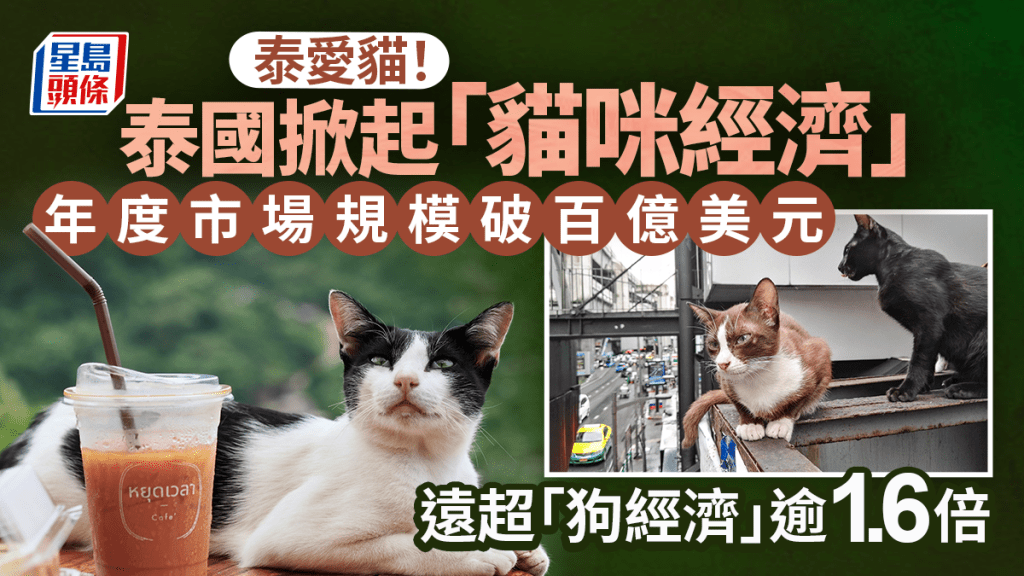 泰國貓經濟︱年度市場規模破920億港元  超「狗經濟」逾1.6倍