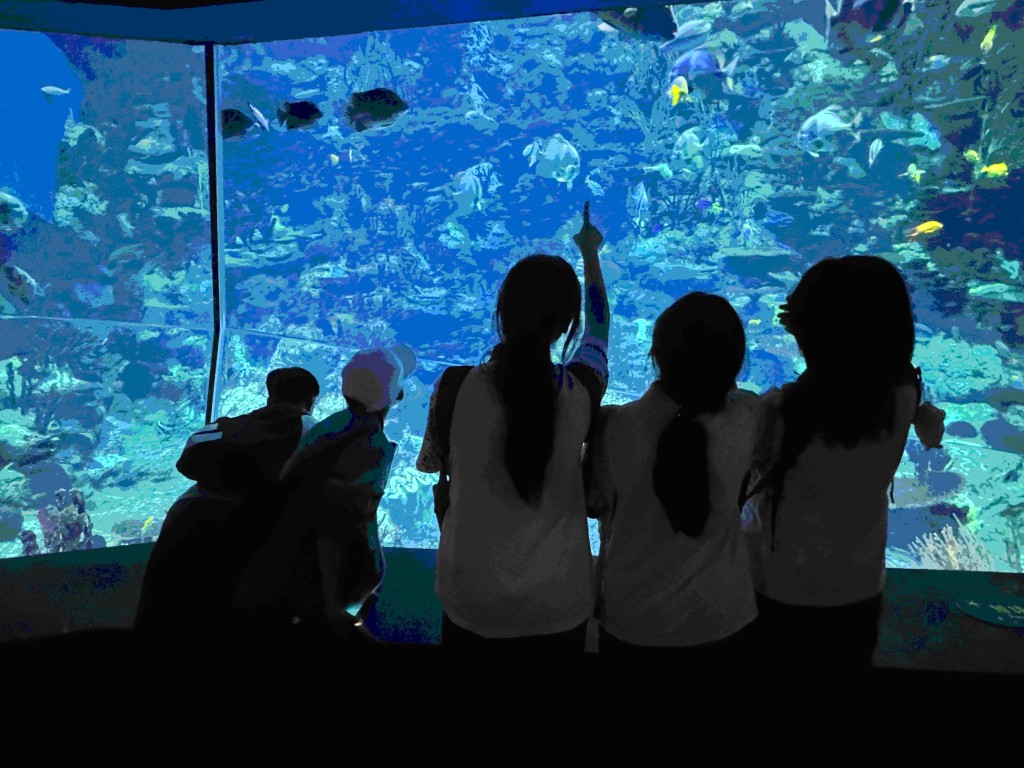 很多家長跟我說過，他們最怕的是孩子在學習階段中，會慢慢地失去笑容和自信。（作者提供）