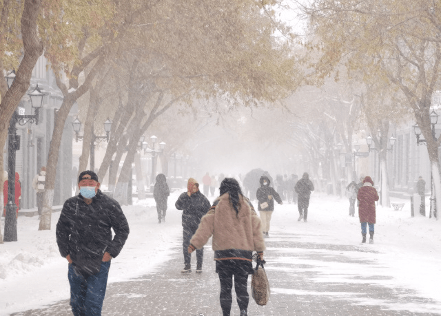 受降雪天气影响，黑龙江街头大雪纷飞。