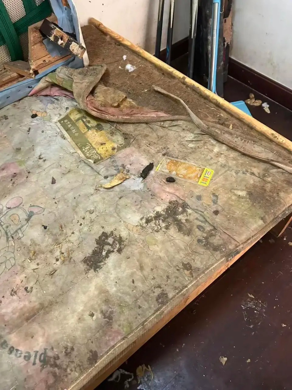 单位内布满狗屎，两张床褥被狗啃咬至无法使用。
