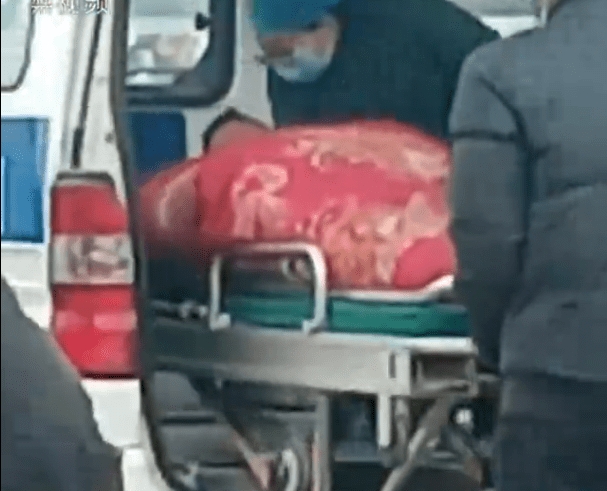 有馴獸師被咬傷。網圖