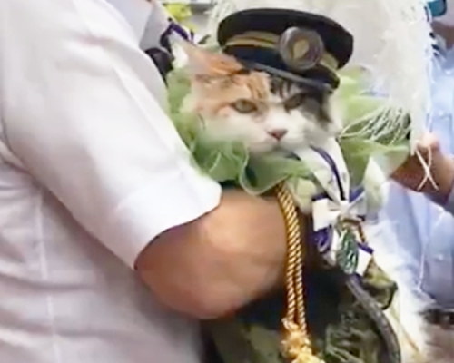 二玉站長獲授勳，以表揚牠為和歌山縣宣傳的功績。二玉Twitter