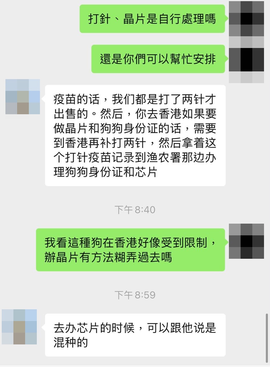 記者問及 比特鬥牛㹴能否在辦理晶片時蒙混過關,商家立即教路,指可向漁護署謊報「混種」狗隻。 記者問及 比特鬥牛㹴能否在辦理晶片時蒙混過關,商家立即教路,指可向漁護署謊報「混種」狗隻。