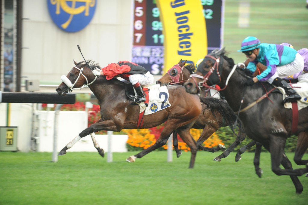 「火箭人」(內) 曾於一〇年與「同一世界」(外) 在二級賽馬會短途錦標取得平頭冠軍，獲得獎金超過五千萬港元。