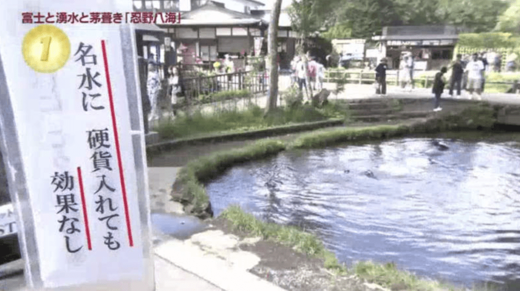 有大量遊客無視池邊警告牌。網上圖片 