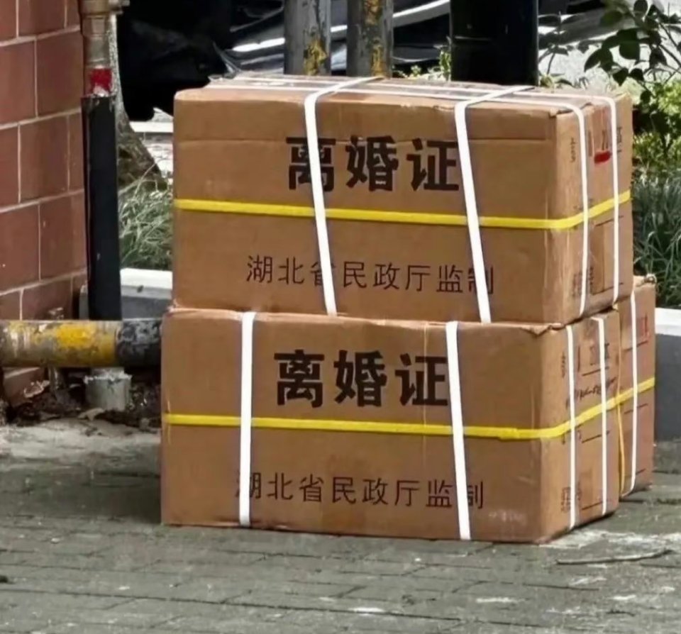 有网民影到湖北省民政厅制作的两箱离婚证书摆在地上。