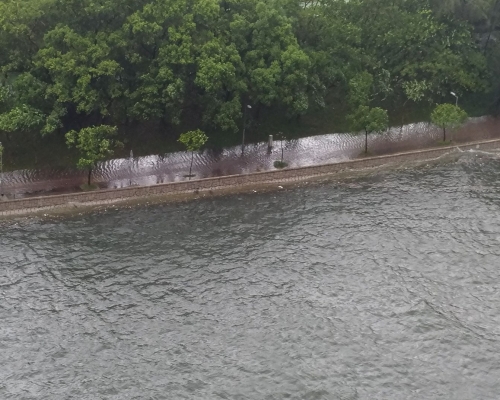 林村河爆滿。網上圖片