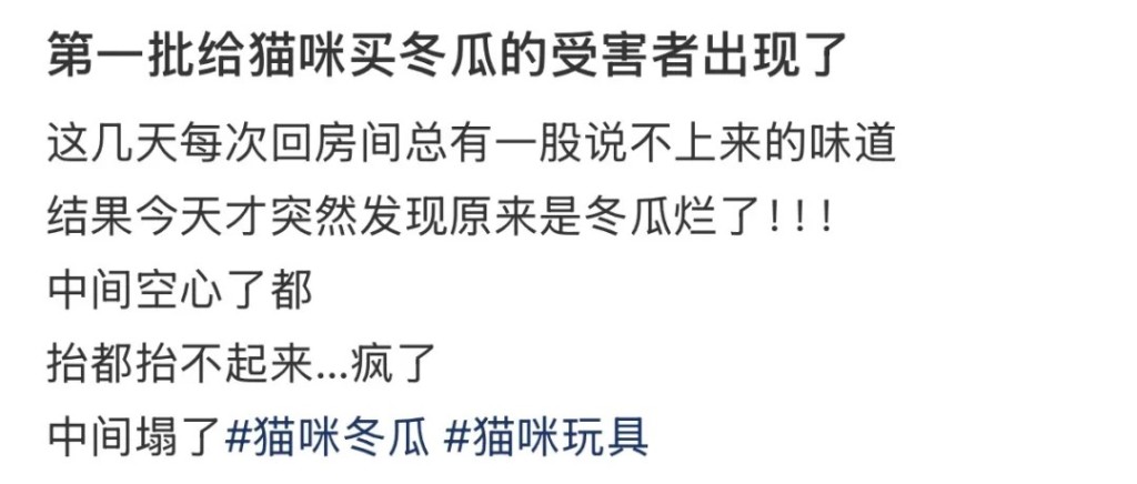 有网民分享抱冬瓜助减温入眠，半夜却遇上“炸瓜”。