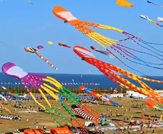 潍坊市正举行「潍坊国际风筝节」。网图