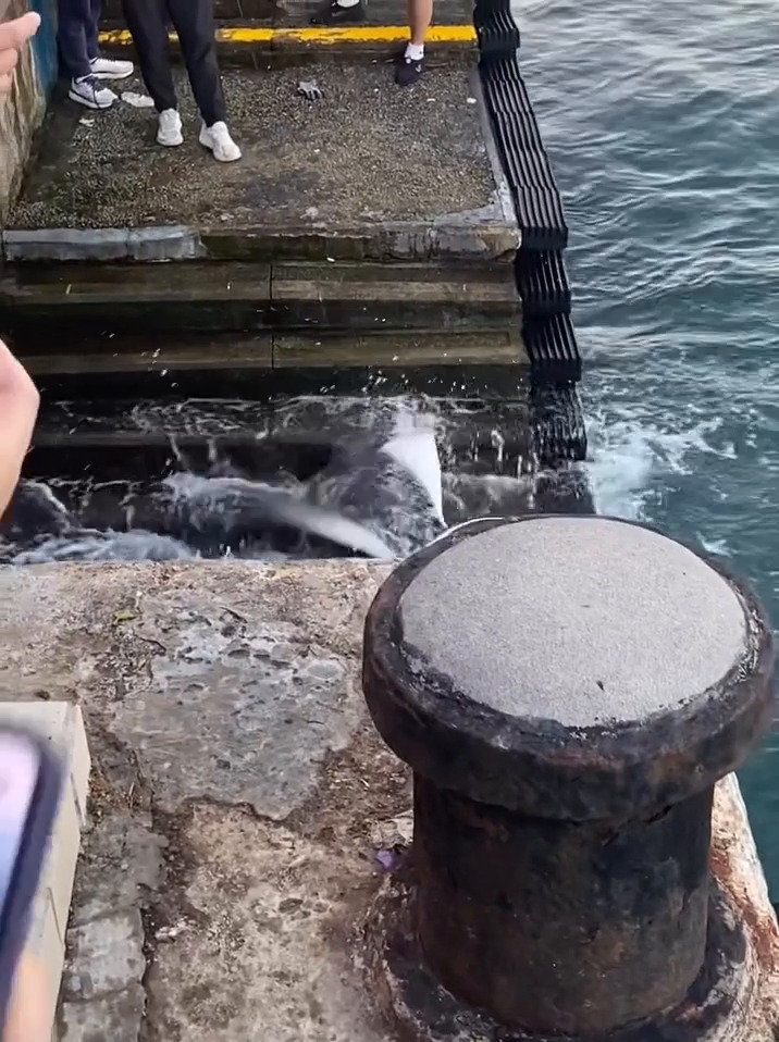 facebook截圖（資料來源：Ken Yu＠facebook筲箕灣西灣河關注組）