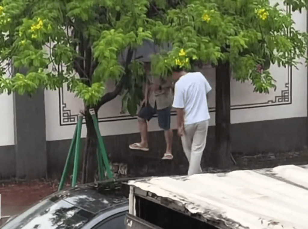 大街上兩名街坊「膠籮」鎖頭生擒一條鱷魚。 大街上兩名街坊「膠籮」鎖頭生擒一條鱷魚。