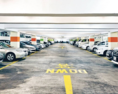 運輸署去年初委託顧問，就智能泊車系統進行先導研究，冀紓緩車位不足情況。