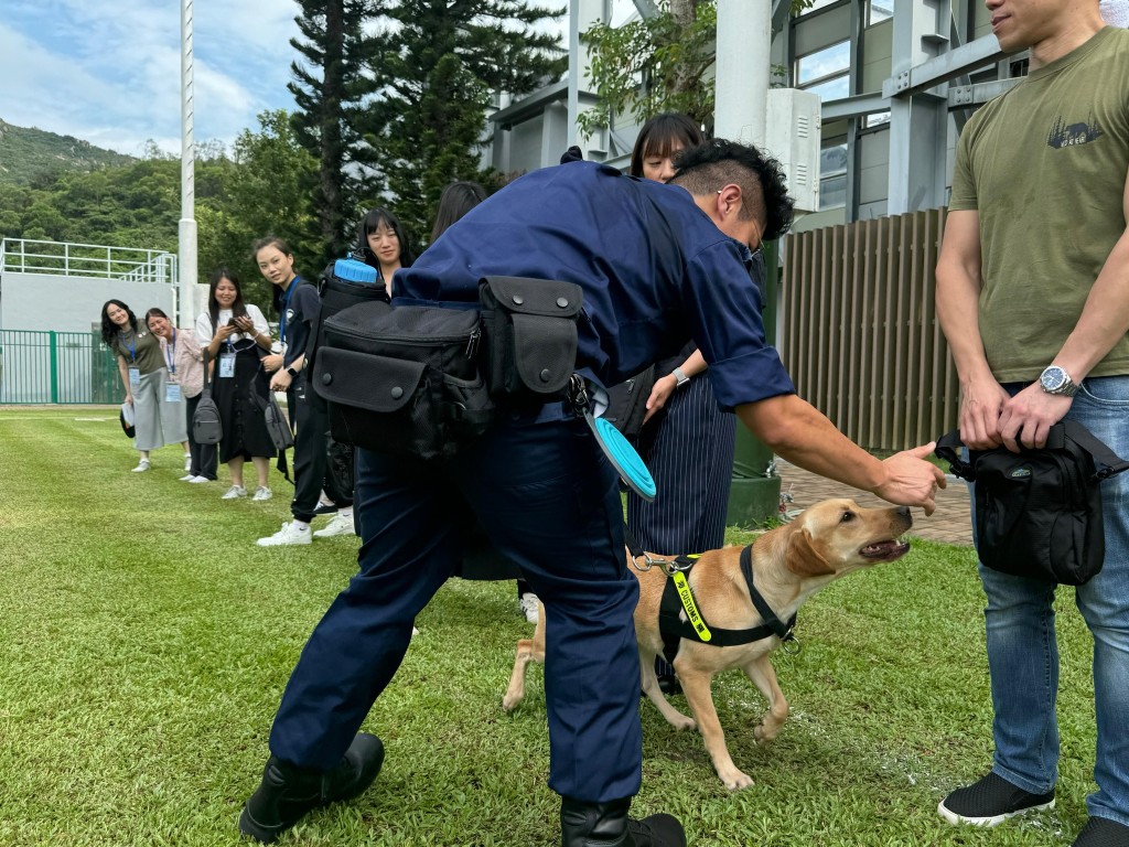 海关安排搜查犬Lady在活动中为学员进行示范。