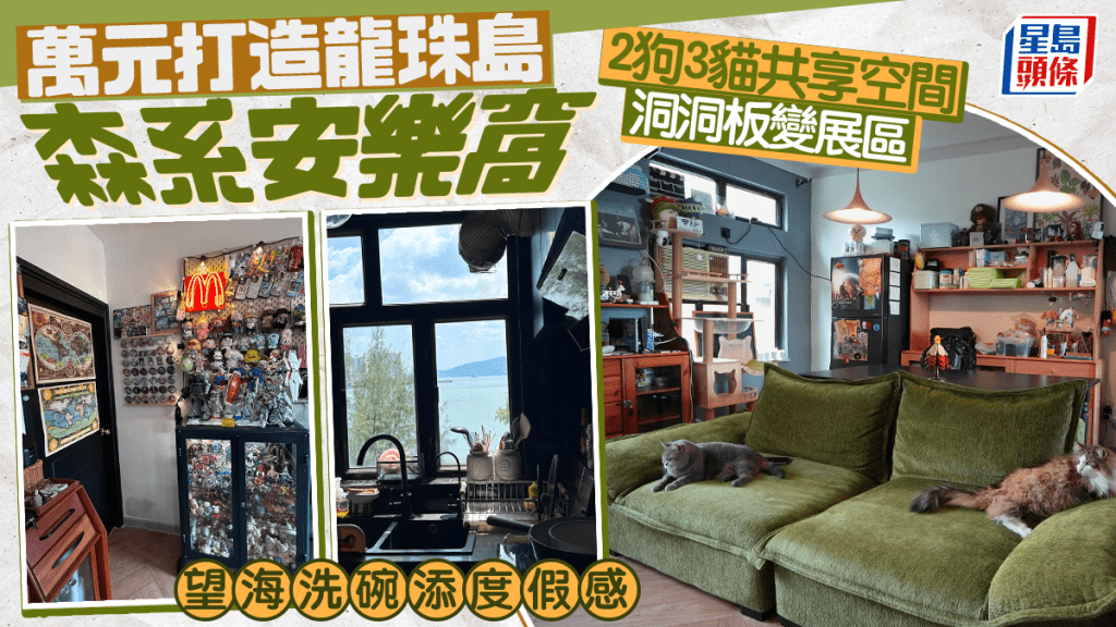 萬元打造龍珠島森系安樂窩 2狗3貓共享空間 洞洞板變展區 望海洗碗添度假感