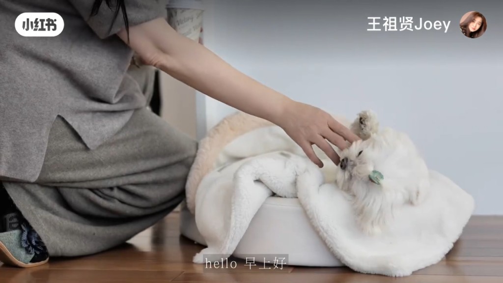 王祖賢起床第一件事，陪愛犬玩耍。