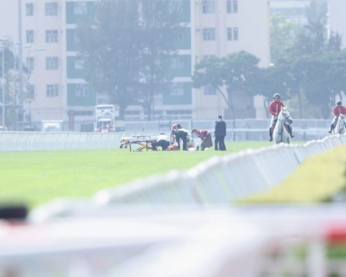 蔡明紹今日頭場策騎「好玩福星」墮馬,隨即送院檢查。 Curry攝