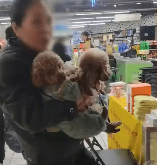 重庆大妈无视超市禁带宠物入内告示，带两狗逛超市。