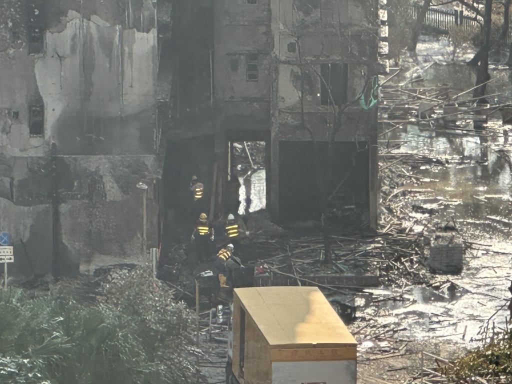 現場滿佈大批竹枝。 現場滿佈大批竹枝。