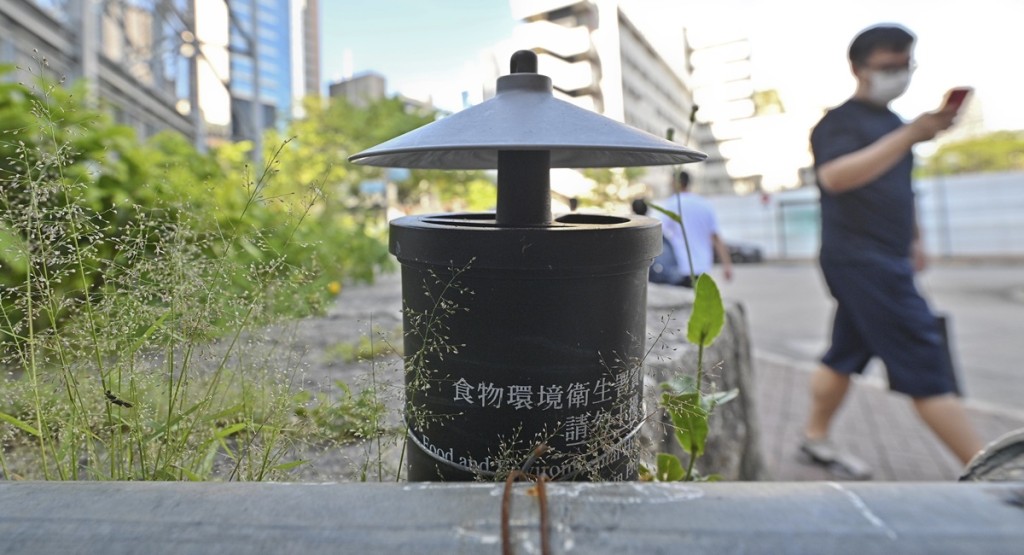 食環署公布本港3月份蚊患指數維持在最低水平。資料圖片