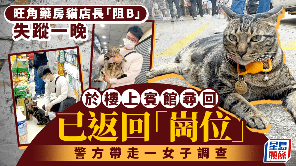 旺角药房猫店长「阻B」回归 楼上宾馆被寻获 警带走一名女子调查