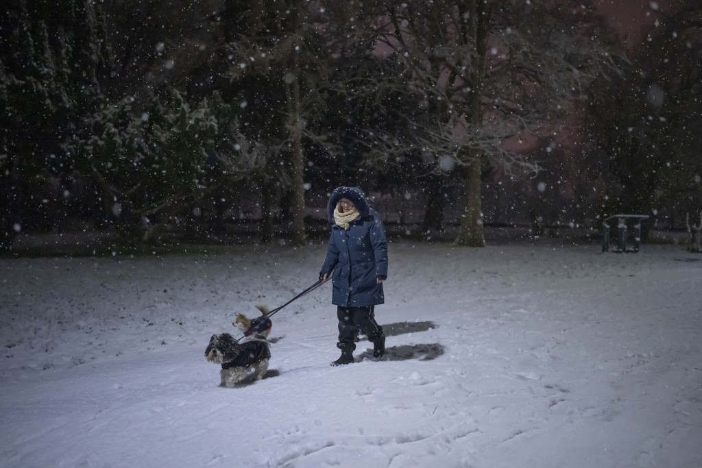 一名婦女冰天雪地下在倫敦南部的一個公園裡遛狗。AP