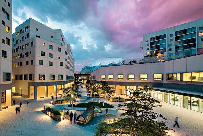 紐約大學阿布扎比分校的校園。 